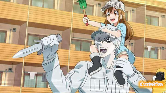 Hataraku Saibou